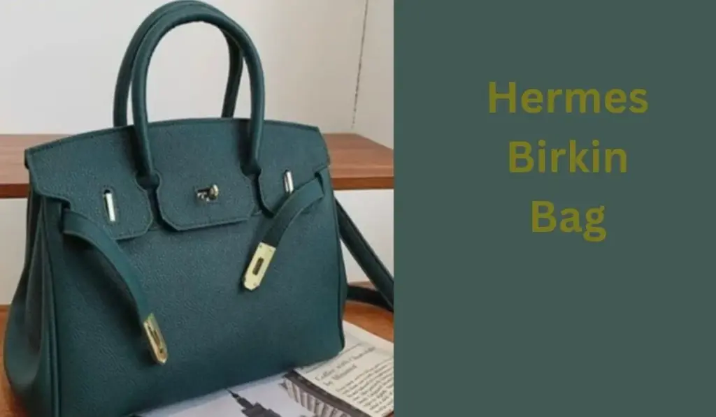 Hermes Birkin Bag Walmart tik-tok