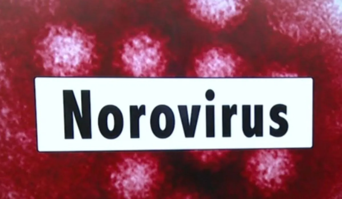 Norovirus Cases