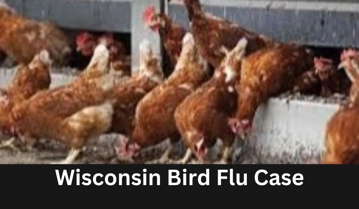 Wisconsin Bird Flu Case